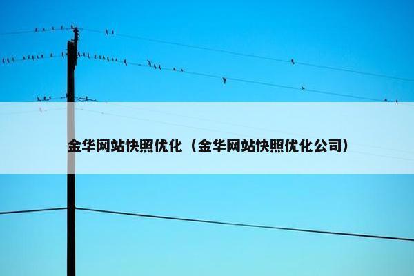 金华网站快照优化（金华网站快照优化公司）