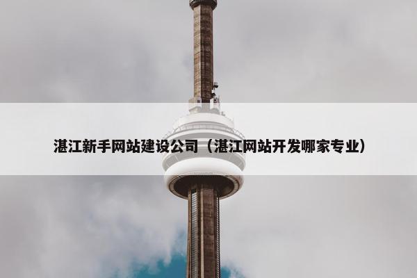 湛江新手网站建设公司（湛江网站开发哪家专业）