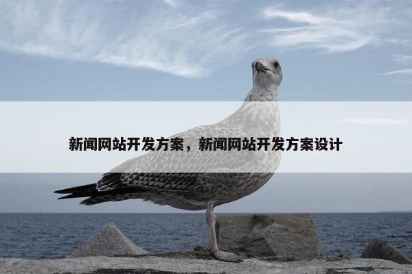 新闻网站开发方案，新闻网站开发方案设计
