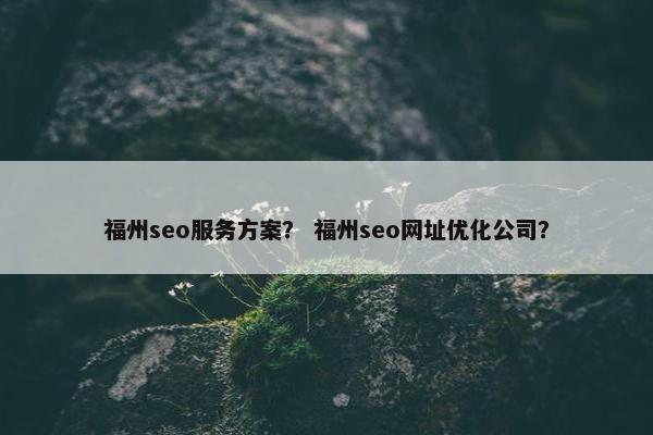 福州seo服务方案？ 福州seo网址优化公司？