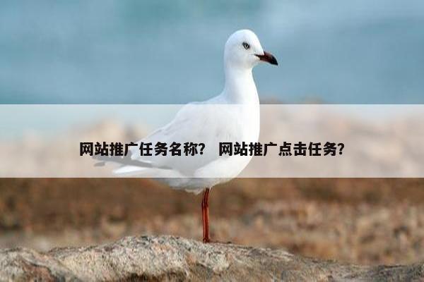 网站推广任务名称？ 网站推广点击任务？
