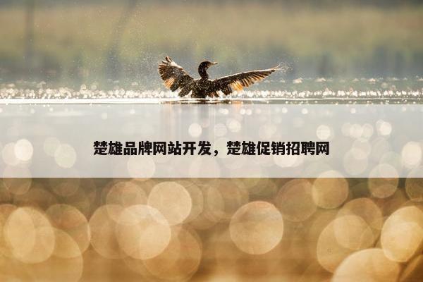 楚雄品牌网站开发，楚雄促销招聘网