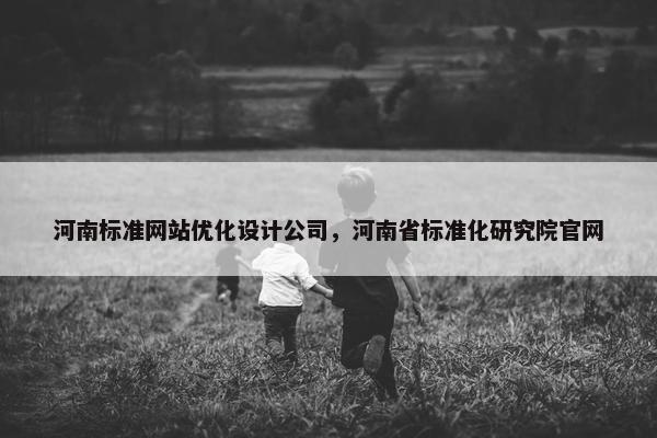 河南标准网站优化设计公司，河南省标准化研究院官网