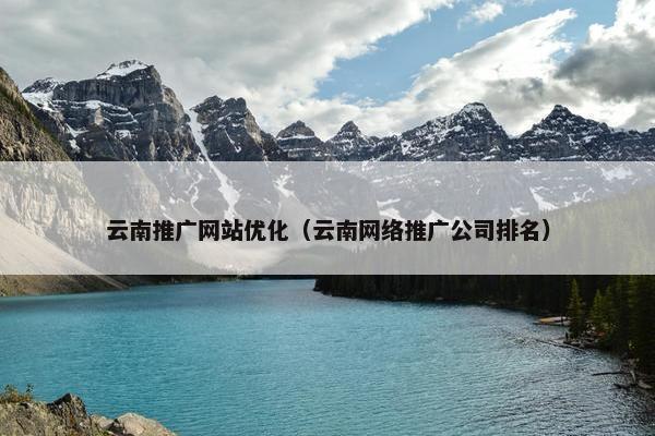 云南推广网站优化（云南网络推广公司排名）