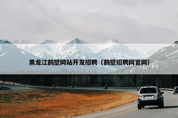 黑龙江鹤壁网站开发招聘（鹤壁招聘网官网）