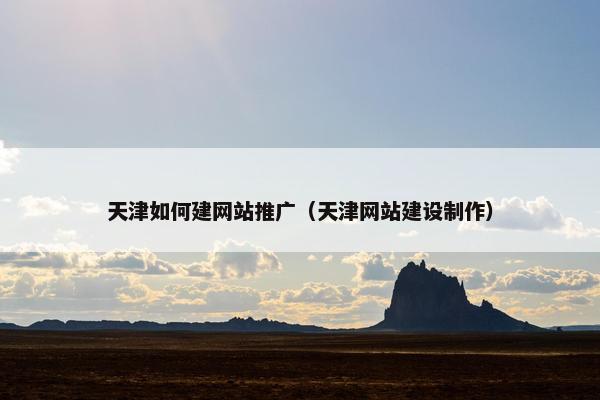 天津如何建网站推广（天津网站建设制作）