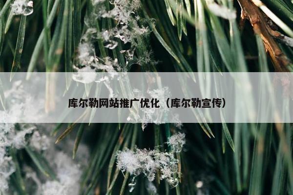 库尔勒网站推广优化（库尔勒宣传）
