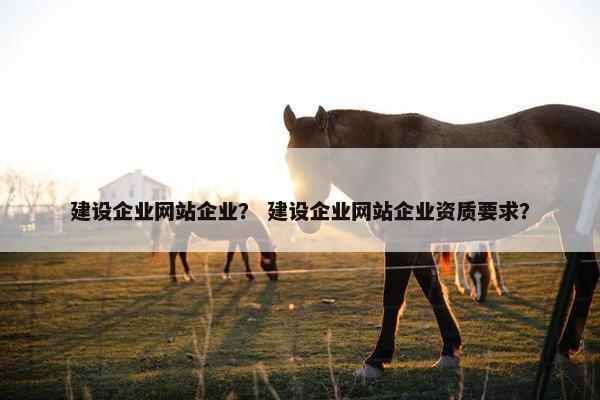 建设企业网站企业？ 建设企业网站企业资质要求？
