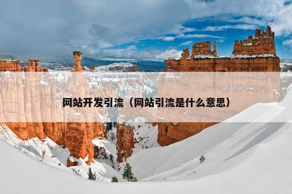 网站开发引流（网站引流是什么意思）