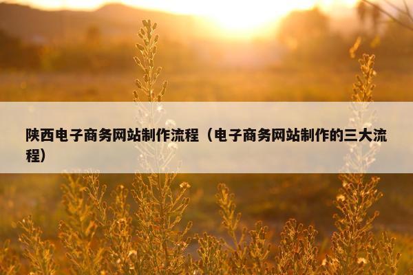 陕西电子商务网站制作流程（电子商务网站制作的三大流程）