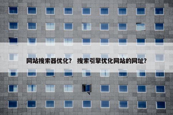 网站搜索器优化？ 搜索引擎优化网站的网址？