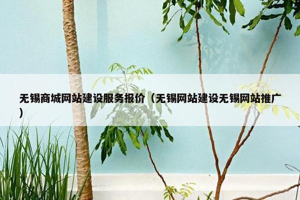 无锡商城网站建设服务报价（无锡网站建设无锡网站推广）
