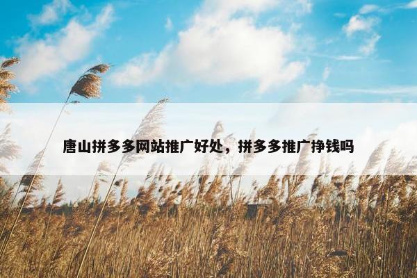 唐山拼多多网站推广好处，拼多多推广挣钱吗