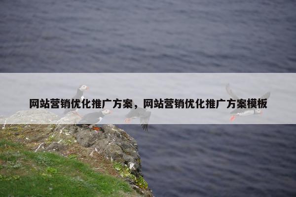 网站营销优化推广方案，网站营销优化推广方案模板