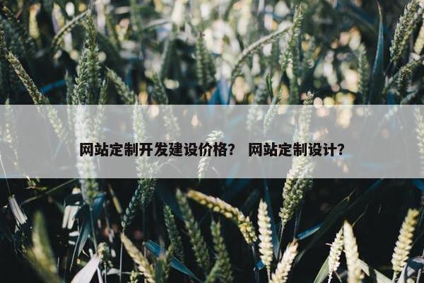 网站定制开发建设价格？ 网站定制设计？