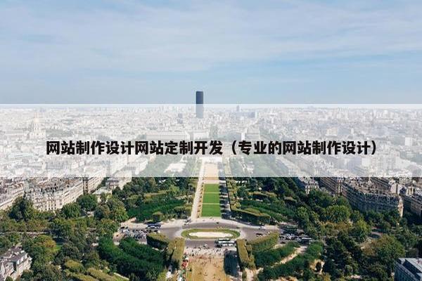 网站制作设计网站定制开发（专业的网站制作设计）