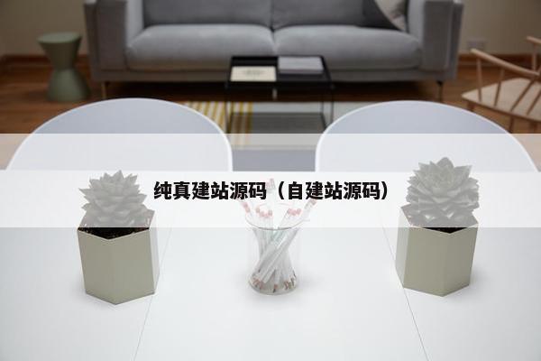纯真建站源码（自建站源码）