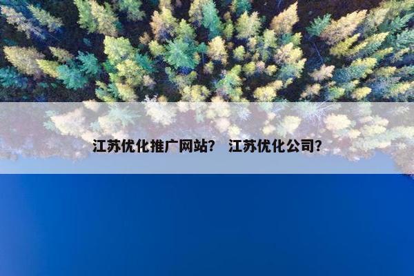 江苏优化推广网站？ 江苏优化公司？