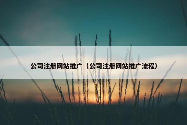 公司注册网站推广（公司注册网站推广流程）