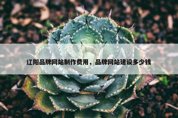 辽阳品牌网站制作费用，品牌网站建设多少钱