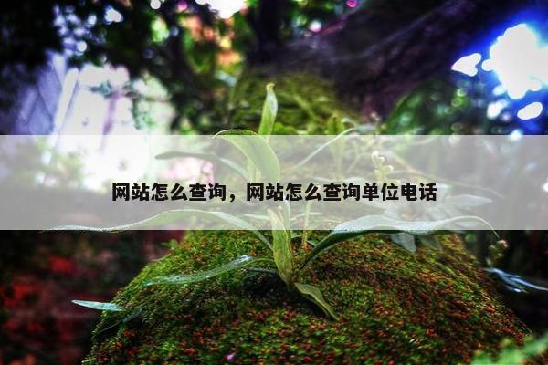 网站怎么查询，网站怎么查询单位电话