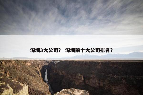 深圳3大公司？ 深圳前十大公司排名？