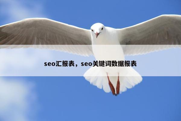 seo汇报表，seo关键词数据报表
