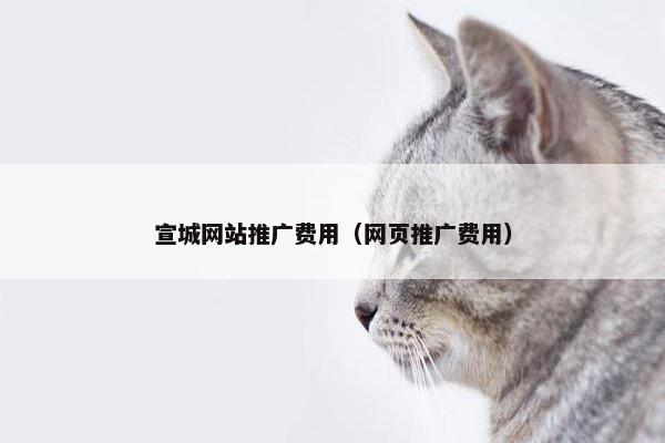 宣城网站推广费用（网页推广费用）