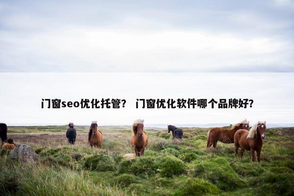 门窗seo优化托管？ 门窗优化软件哪个品牌好？