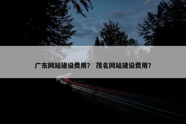 广东网站建设费用？ 茂名网站建设费用？