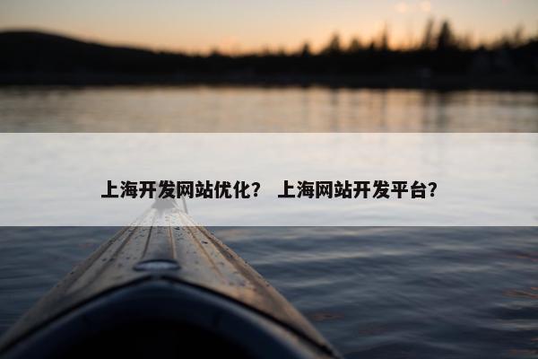 上海开发网站优化？ 上海网站开发平台？