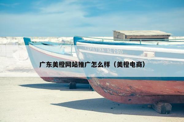 广东美橙网站推广怎么样（美橙电商）