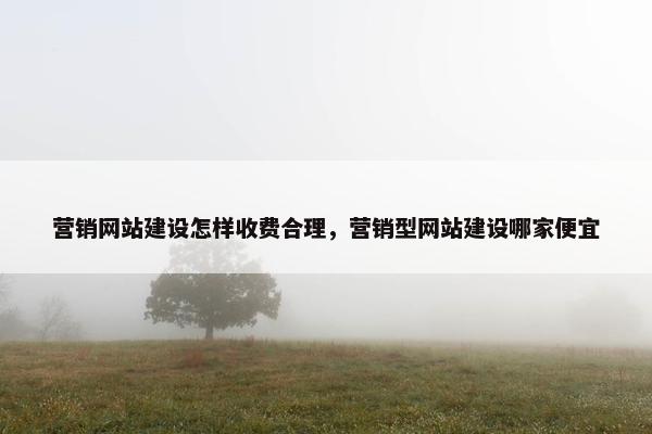 营销网站建设怎样收费合理，营销型网站建设哪家便宜