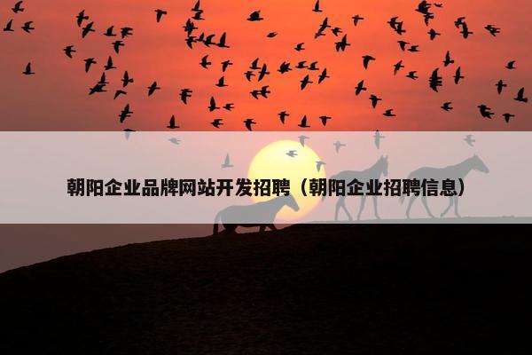 朝阳企业品牌网站开发招聘（朝阳企业招聘信息）