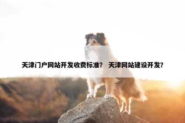 天津门户网站开发收费标准？ 天津网站建设开发？