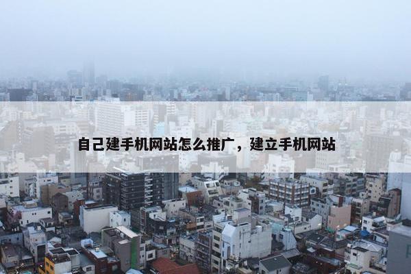 自己建手机网站怎么推广，建立手机网站
