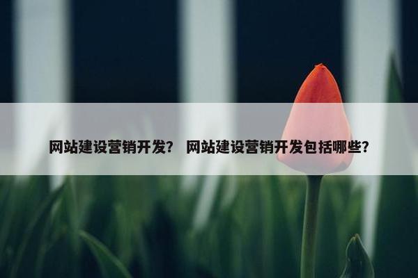 网站建设营销开发？ 网站建设营销开发包括哪些？