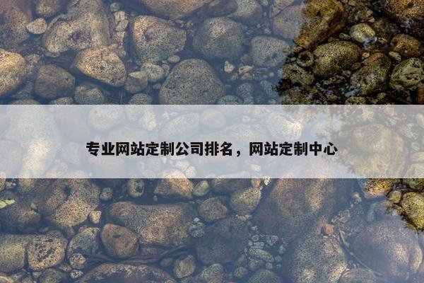专业网站定制公司排名，网站定制中心