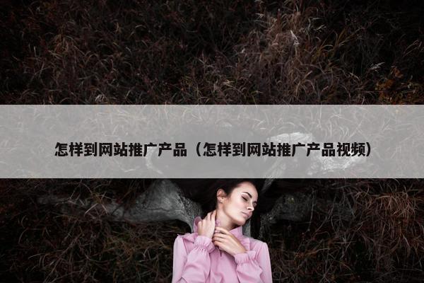 怎样到网站推广产品（怎样到网站推广产品视频）