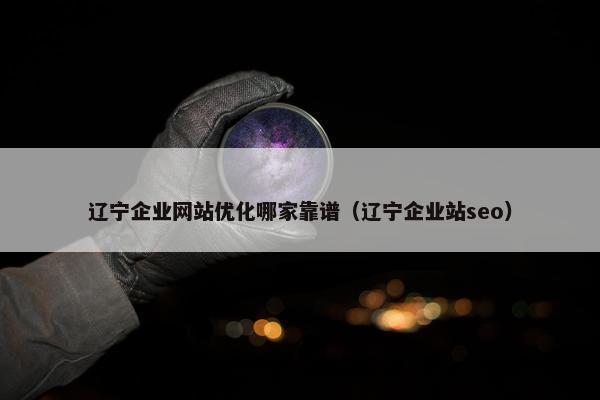 辽宁企业网站优化哪家靠谱（辽宁企业站seo）