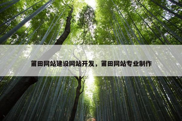 莆田网站建设网站开发，莆田网站专业制作