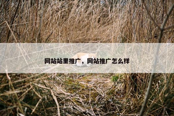 网站站里推广，网站推广怎么样