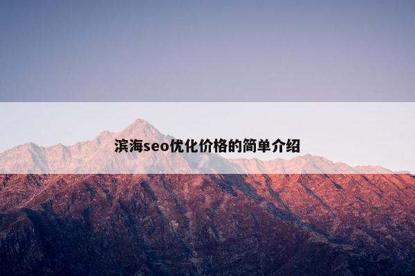 滨海seo优化价格的简单介绍