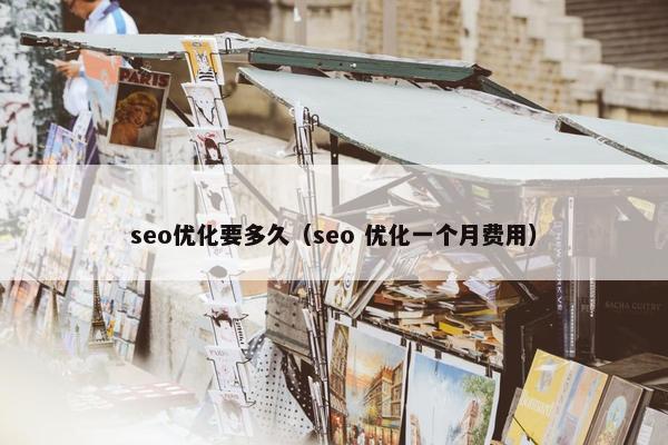 seo优化要多久（seo 优化一个月费用）