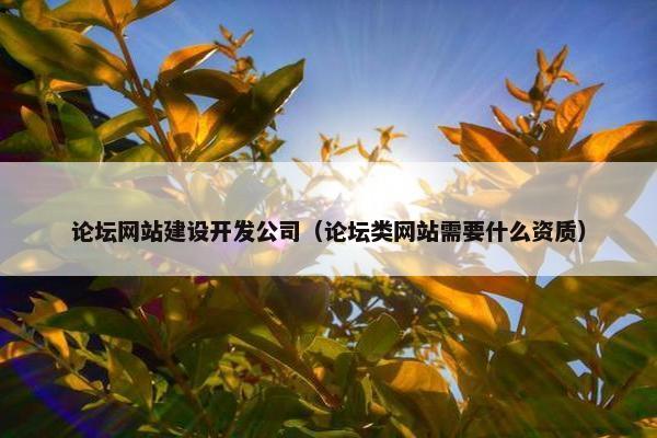 论坛网站建设开发公司（论坛类网站需要什么资质）