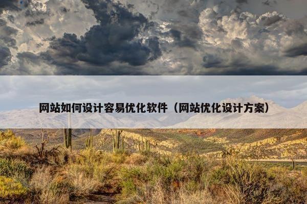 网站如何设计容易优化软件（网站优化设计方案）