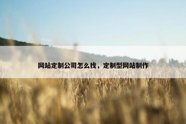 网站定制公司怎么找，定制型网站制作