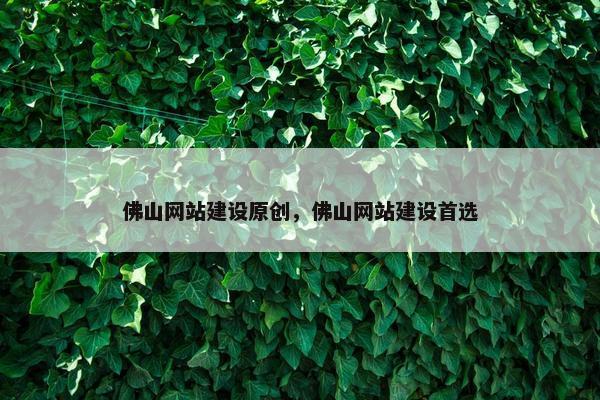 佛山网站建设原创，佛山网站建设首选