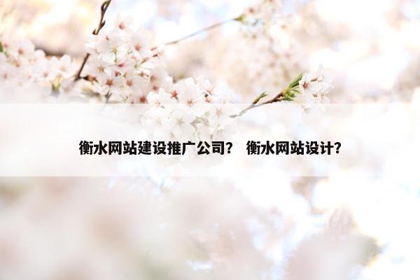 衡水网站建设推广公司？ 衡水网站设计？
