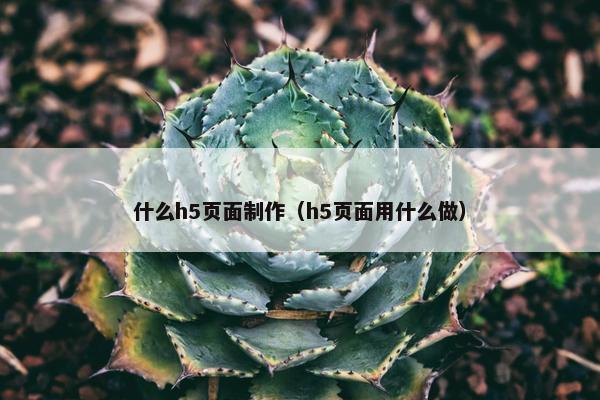 什么h5页面制作（h5页面用什么做）